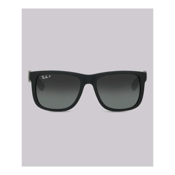 Rayban Polarized Sunglasses